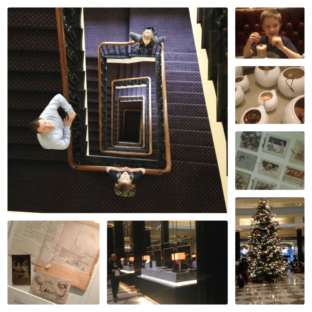 https://extraordinarychaos.com PicMonkey Collagemidland4