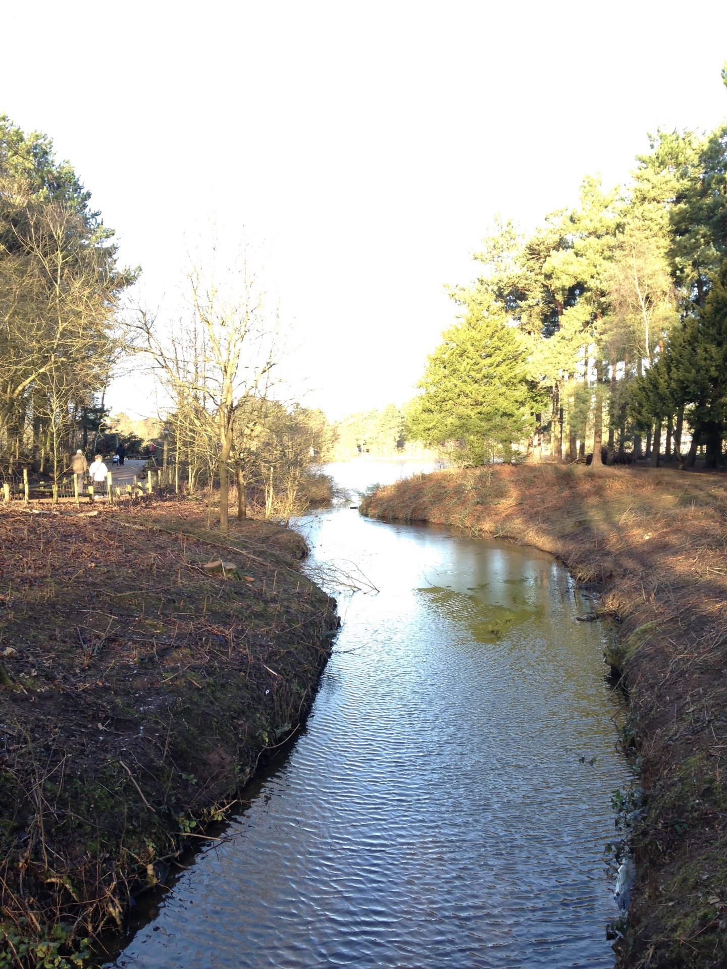 https://extraordinarychaos.com The winding river and woodland walks at Center Parcs