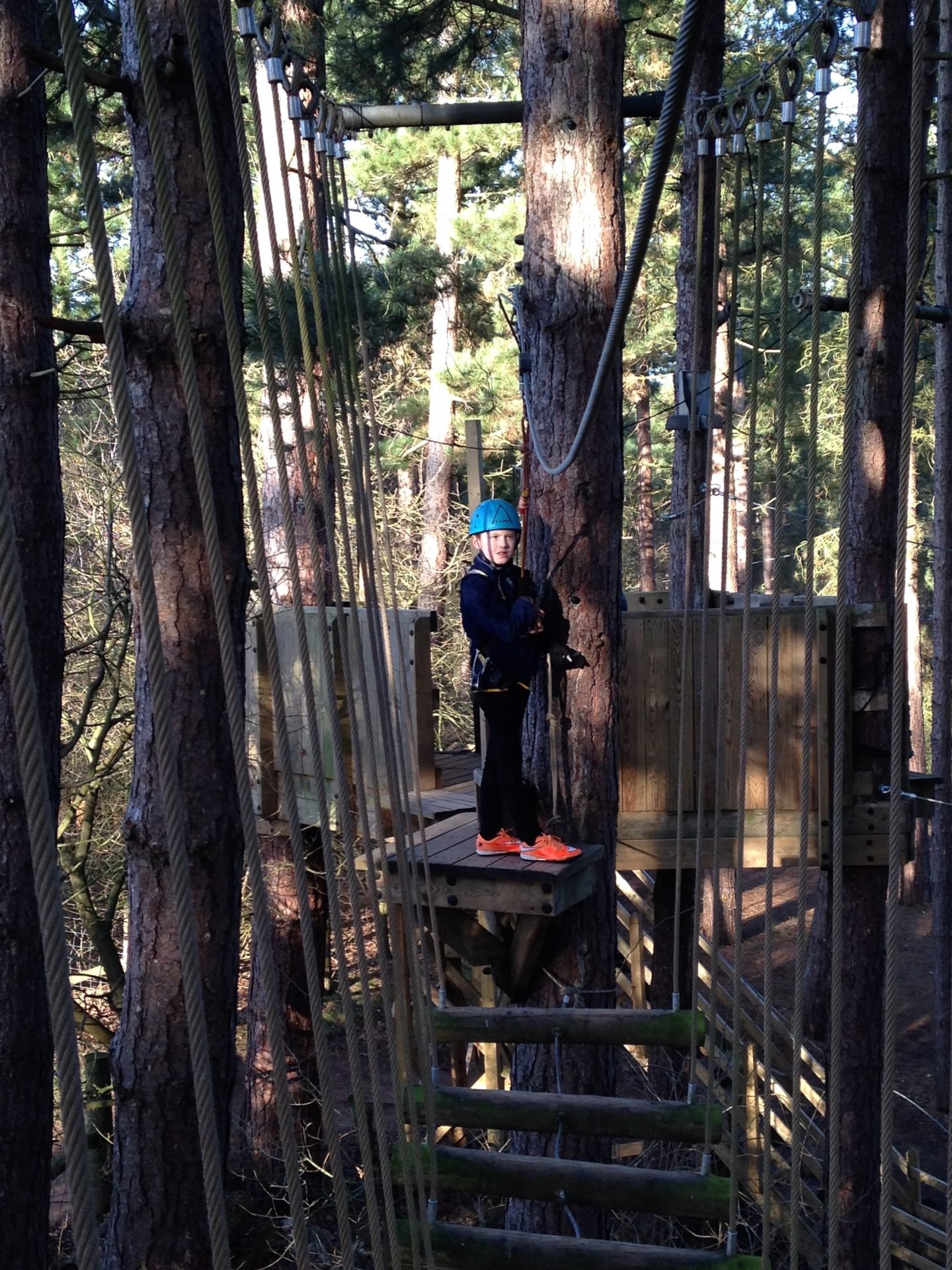 https://extraordinarychaos.com Tree Trekking at Center Parcs