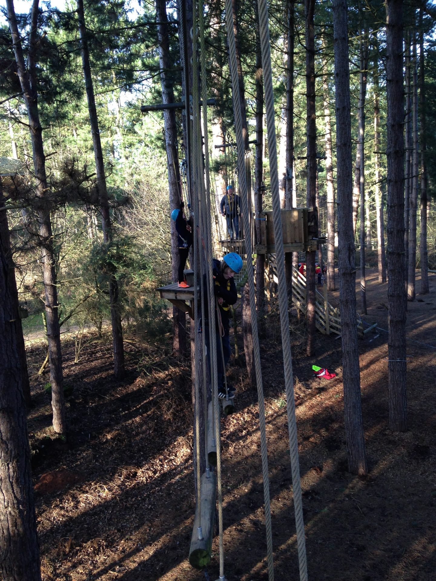 Tree Trekking At Center Parcs