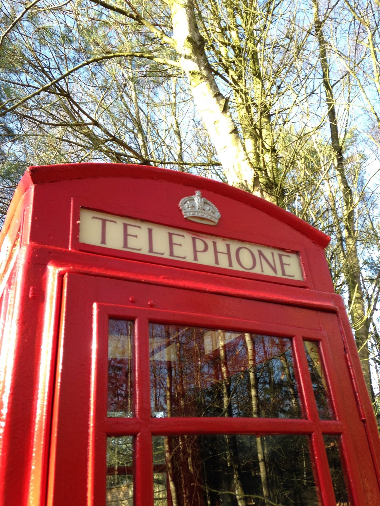 https://extraordinarychaos.com The Grounds At Center Parks Whinfell Forest