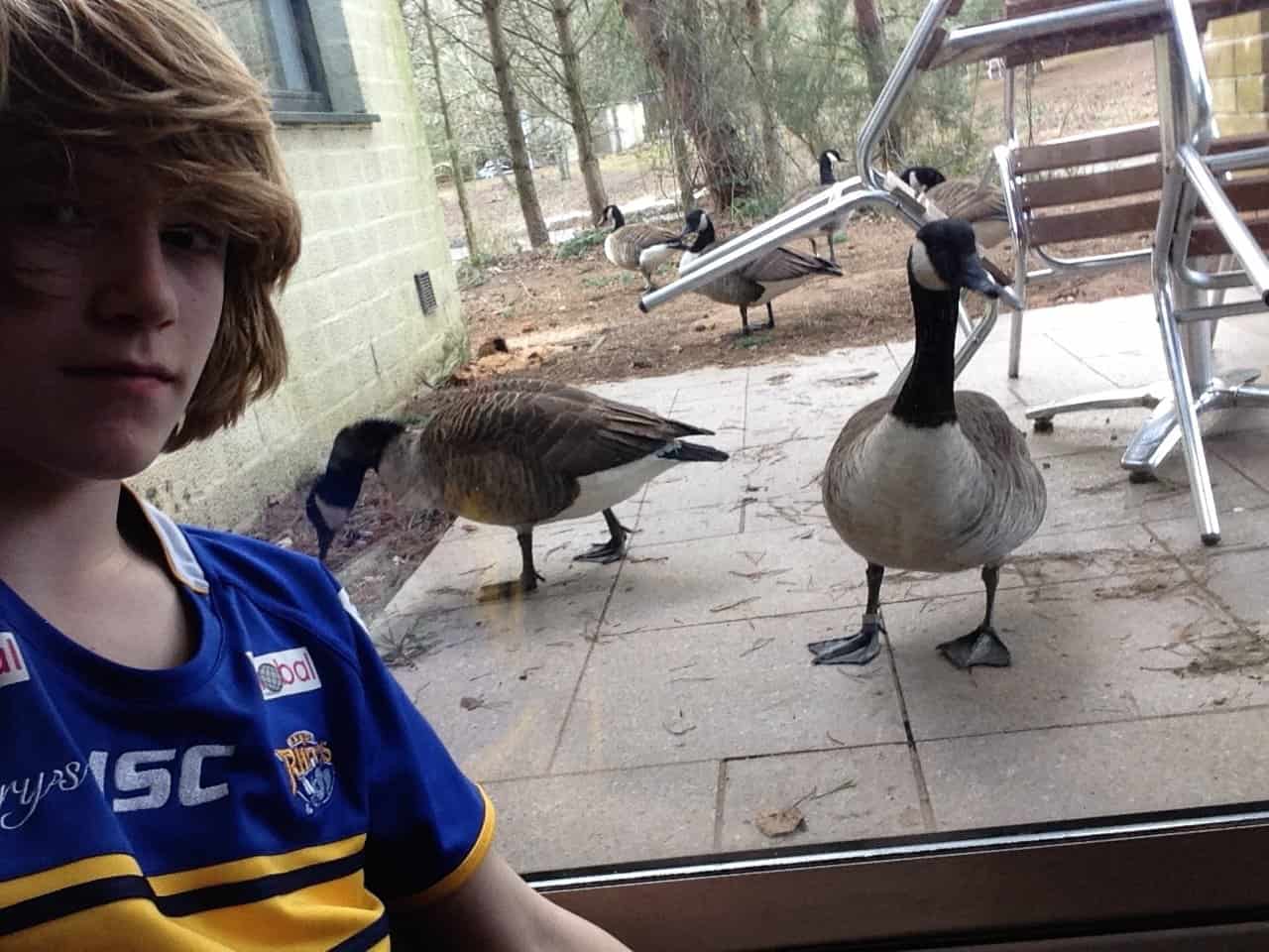 https://extraordinarychaos.com Wildlife at Center Parcs www.extraordinarychaos.com
