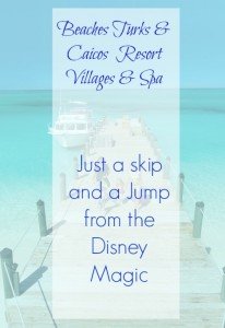 https://extraordinarychaos.com beaches pin