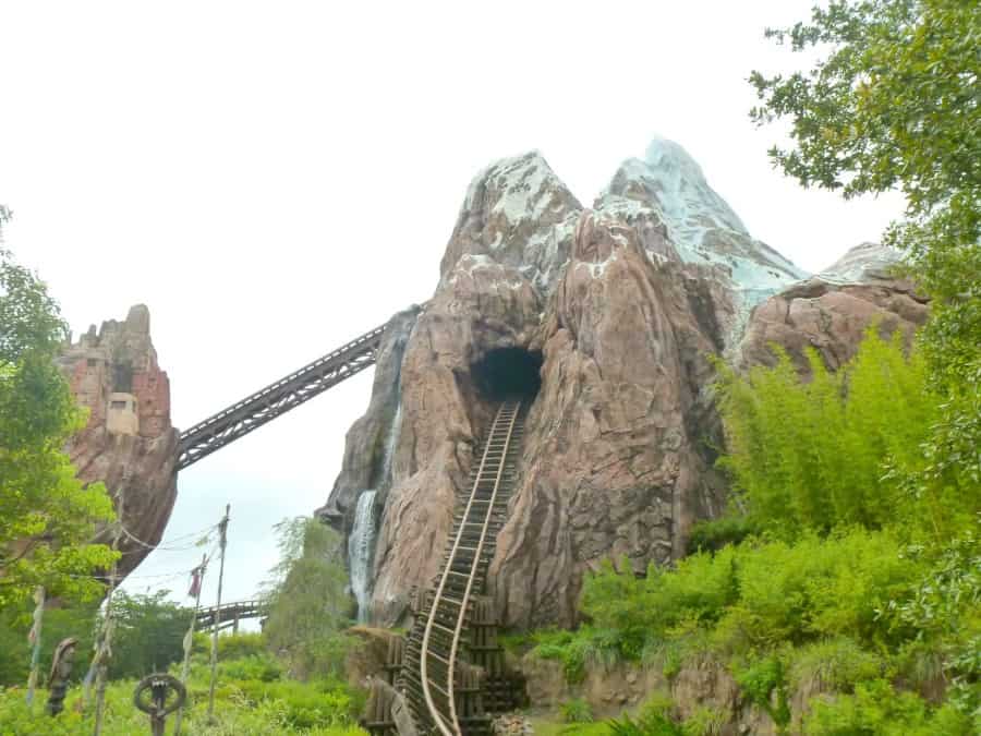 Our Top Tips For Animal Kingdom With Teens And Tweens www.extraordinarychaos.com Our Top Tips For Animal Kingdom With Teens And Tweens www.extraordinarychaos.com