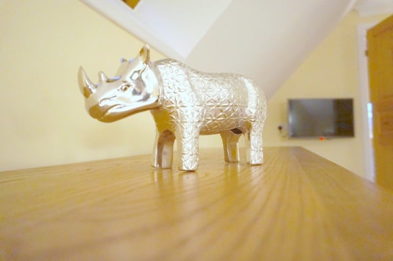 Rhino
