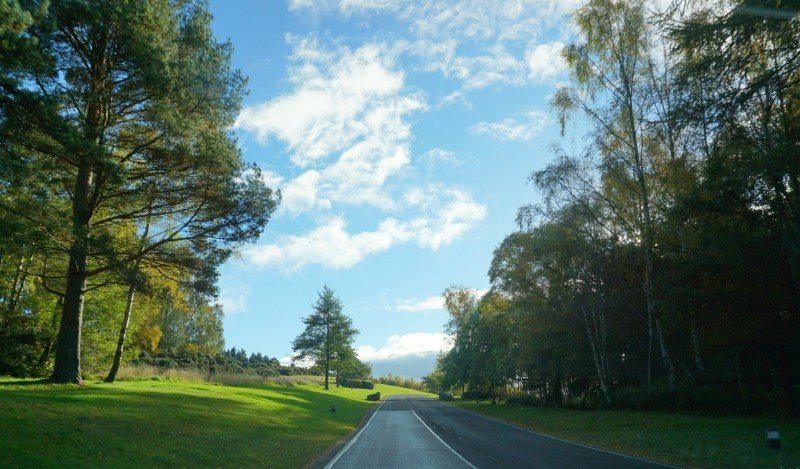 What we loved at Q Lodges a wonderful family holiday