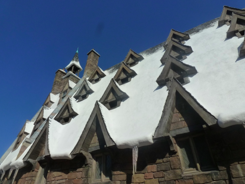 The Wizarding World of Harry Potter at Universal Orlando