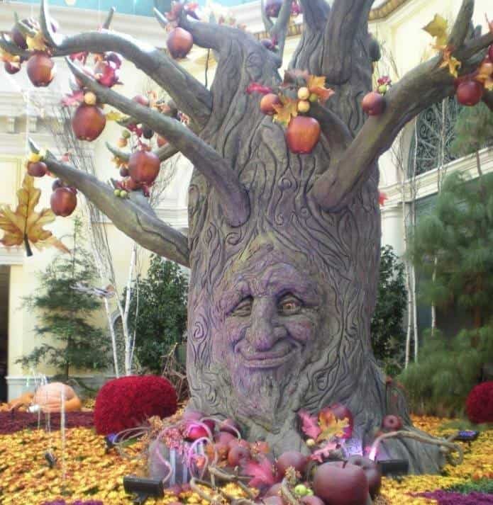 10 Things To Do In Las Vegas With Kids www.extraordinarychaos.com