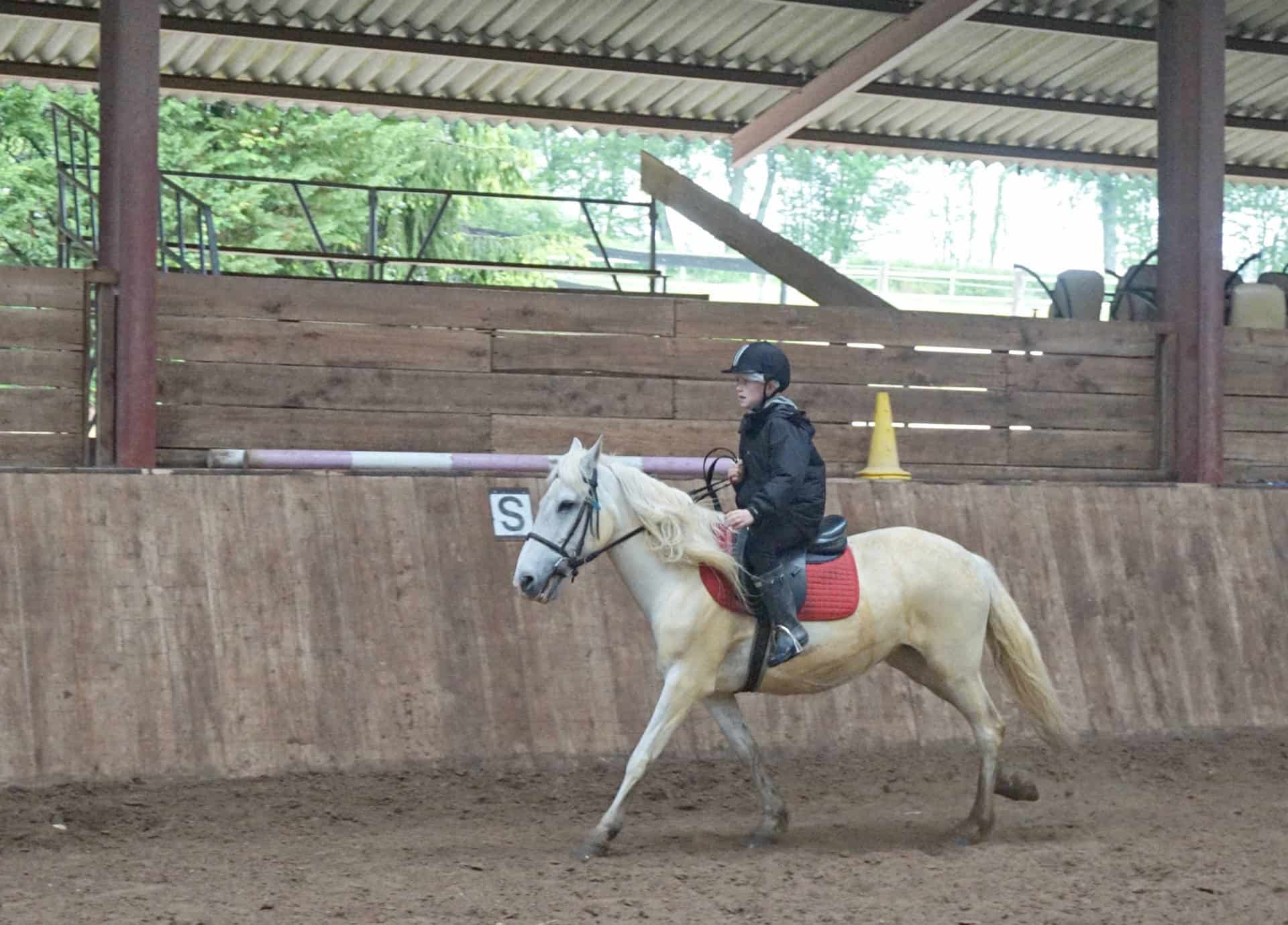 Horse Riding In Burgundy 12