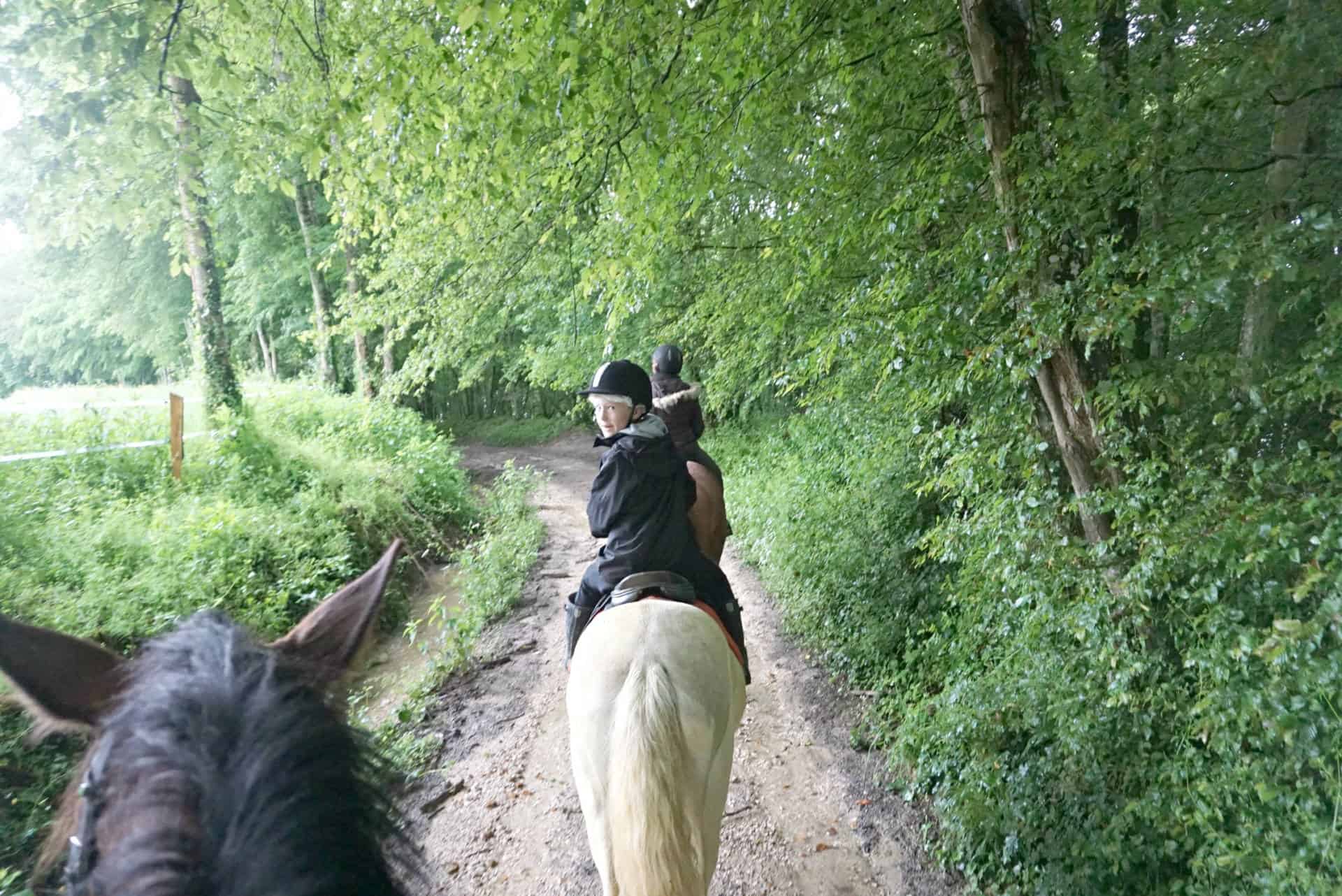 Horse Riding In Burgundy