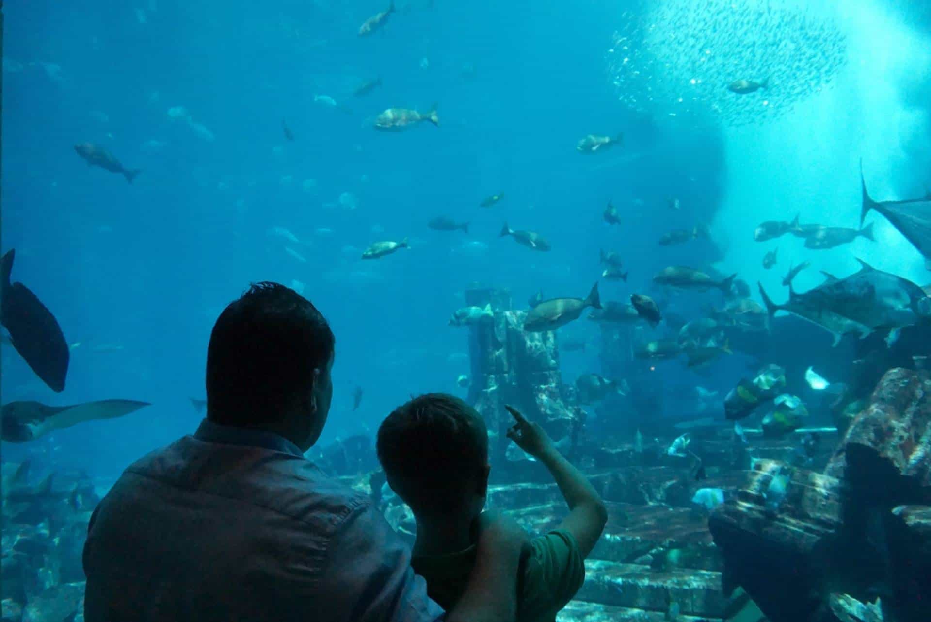 Spending The Day At Atlantis The Palm, Dubai www.extraordinarychaos.com