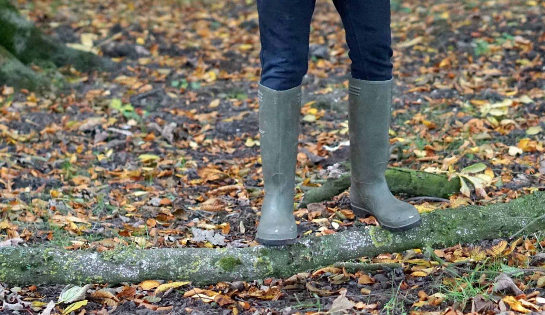 A Walk in the Woods 1