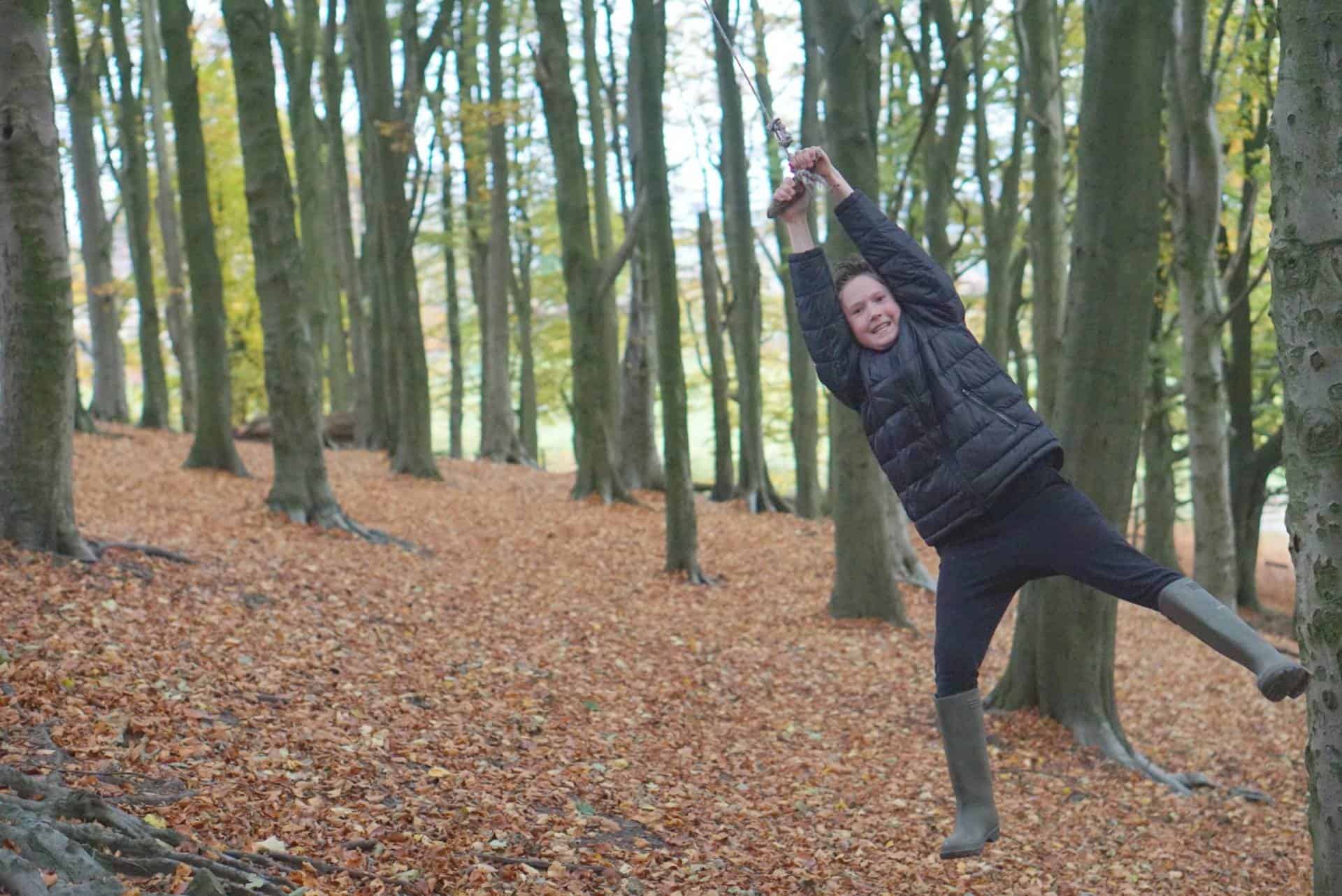 A Walk in the Woods 1