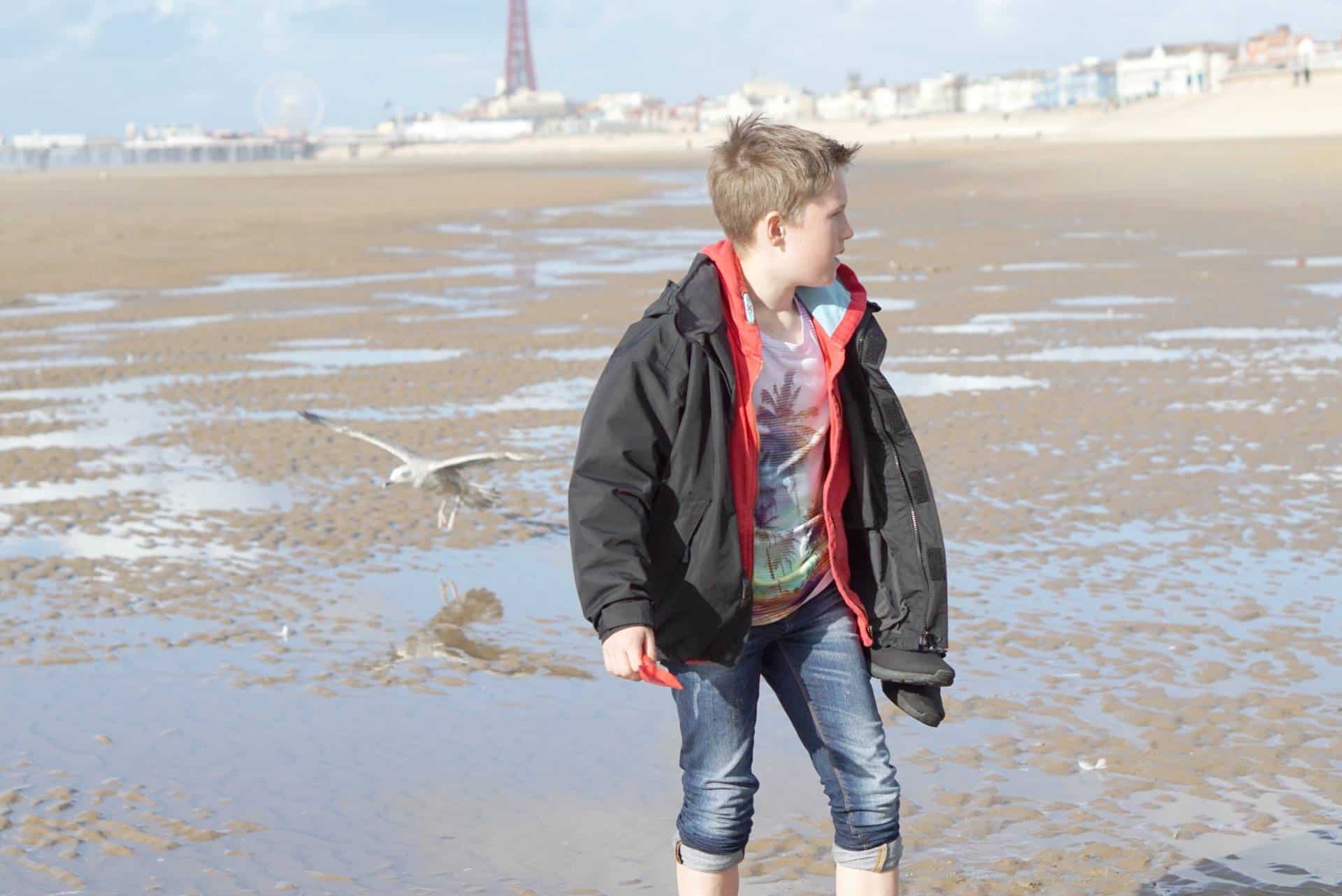 My Sunday Photo, A Walk On The Beach