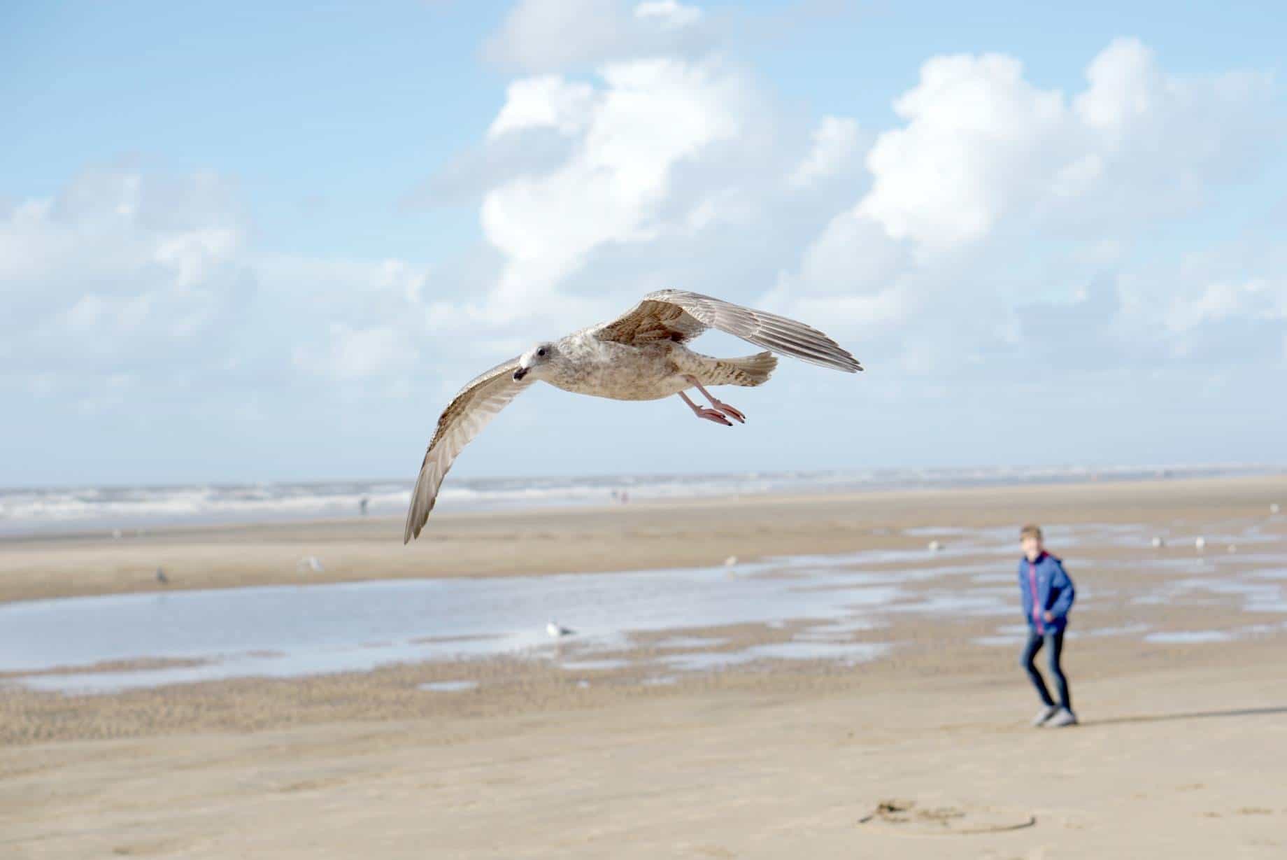 My Sunday Photo, A Walk On The Beach