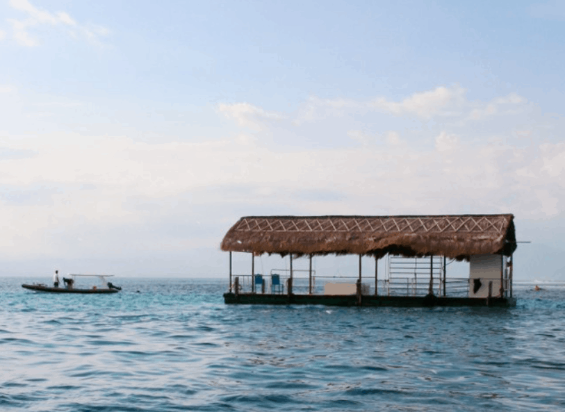 Monday Escapes