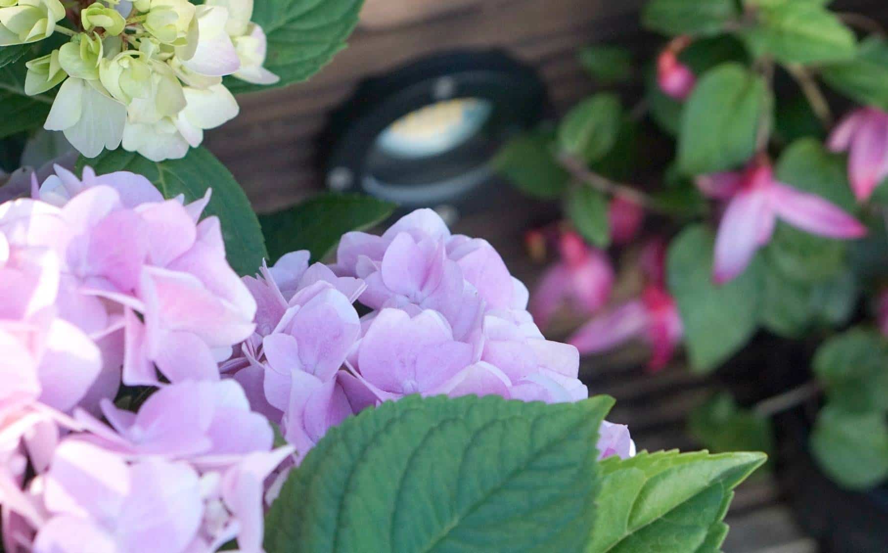 Creating Light In The Garden With Iconic Lighting