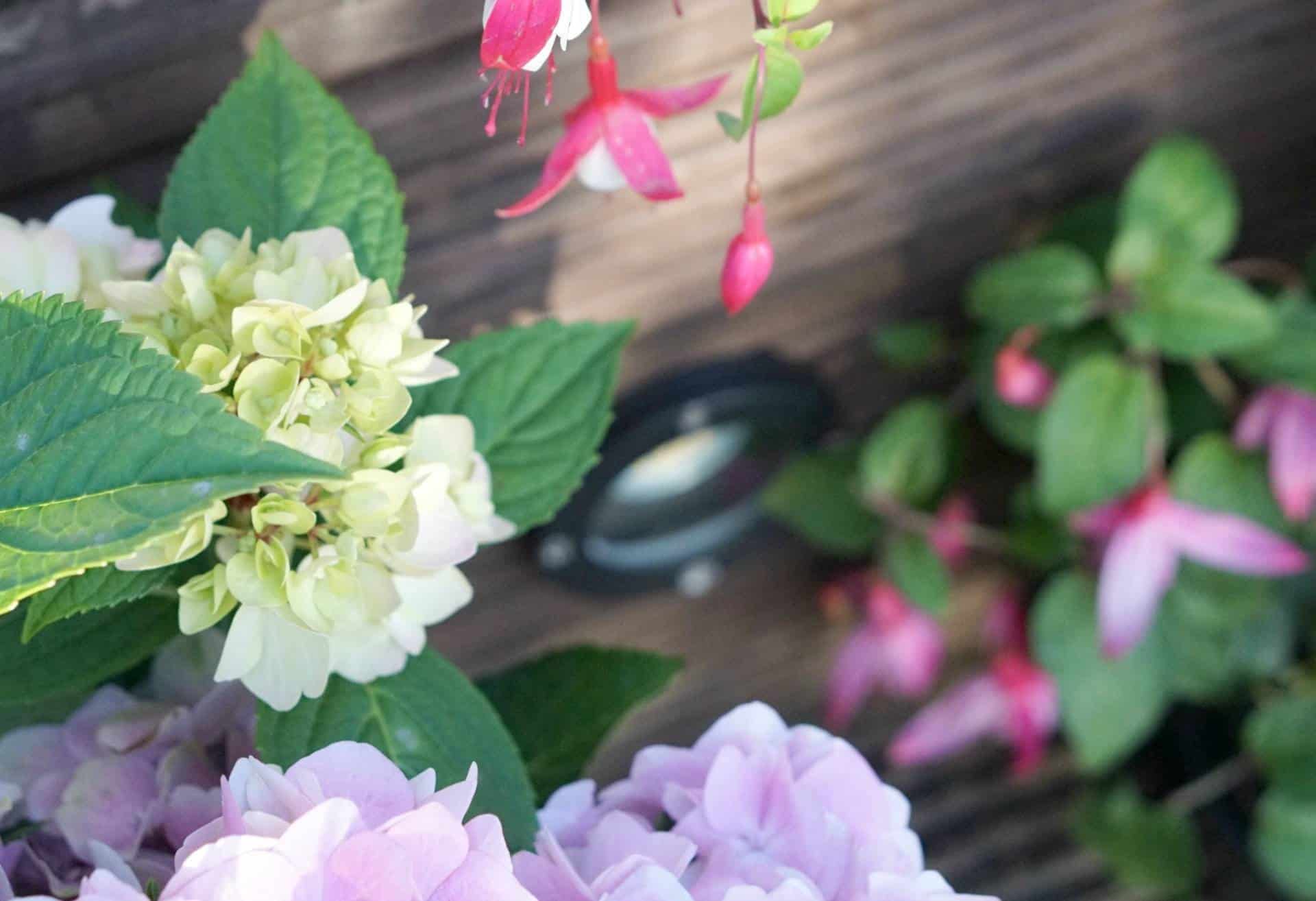 Creating Light In The Garden With Iconic Lighting