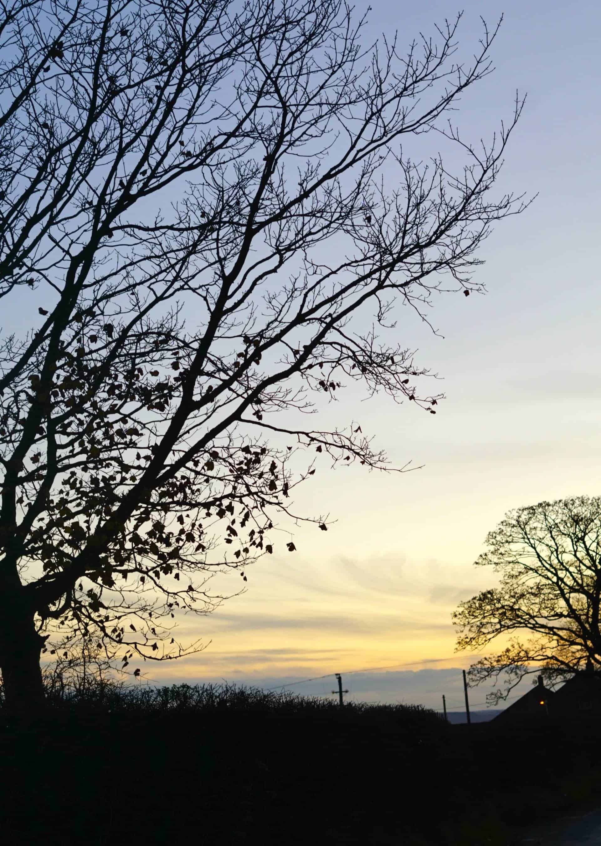 My Sunday Photo A Winters Walk