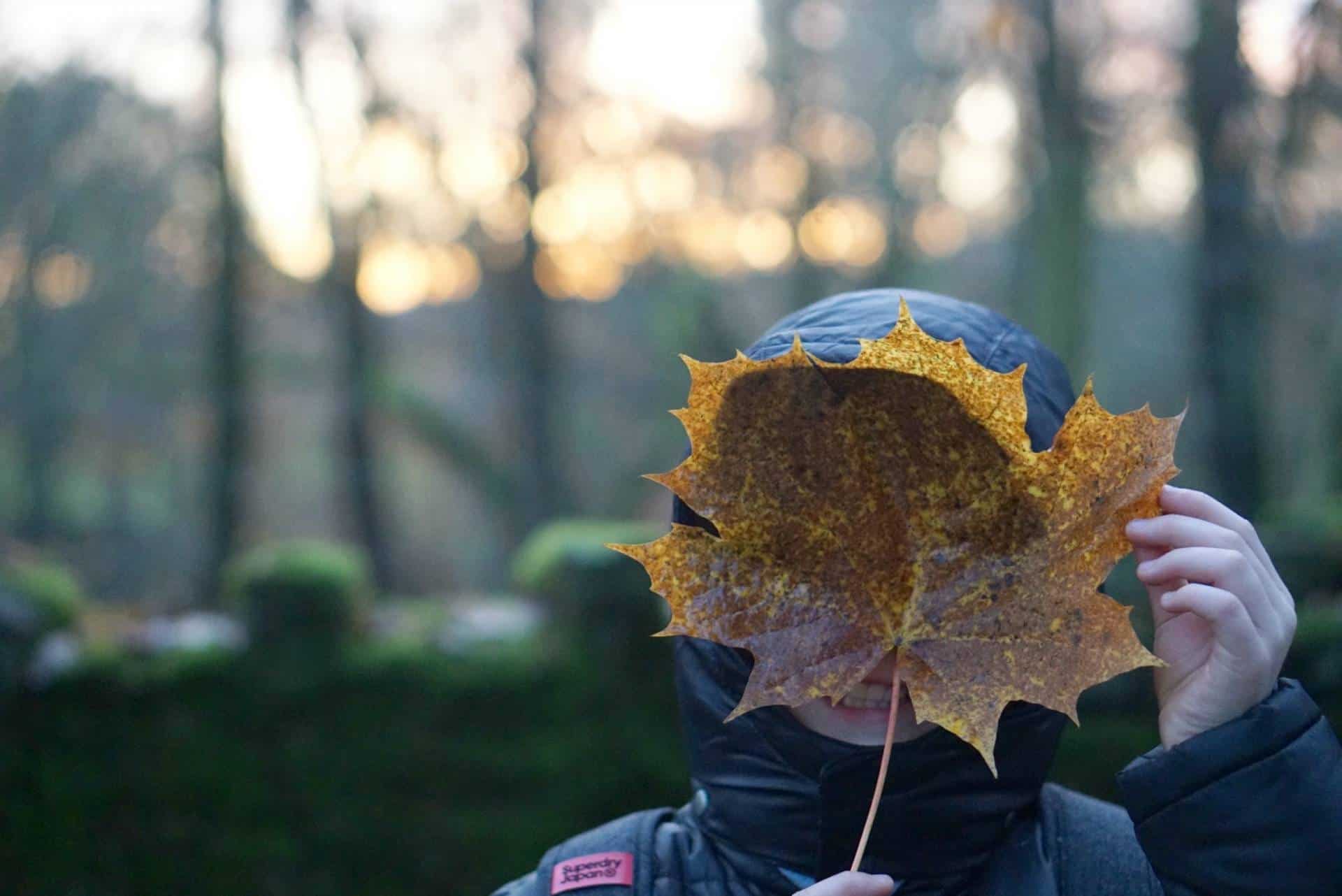 My Sunday Photo A Winters Walk