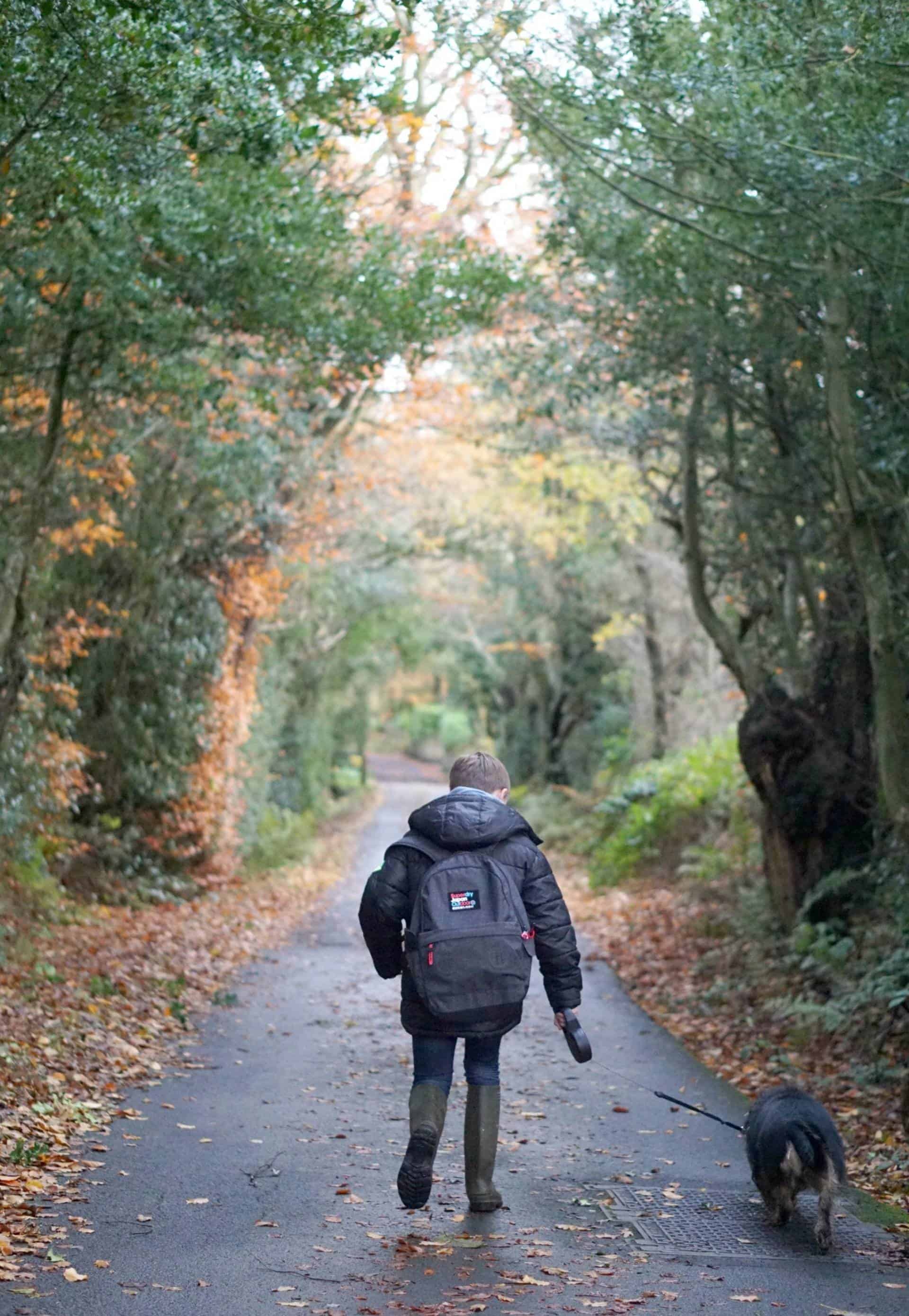 My Sunday Photo A Winters Walk