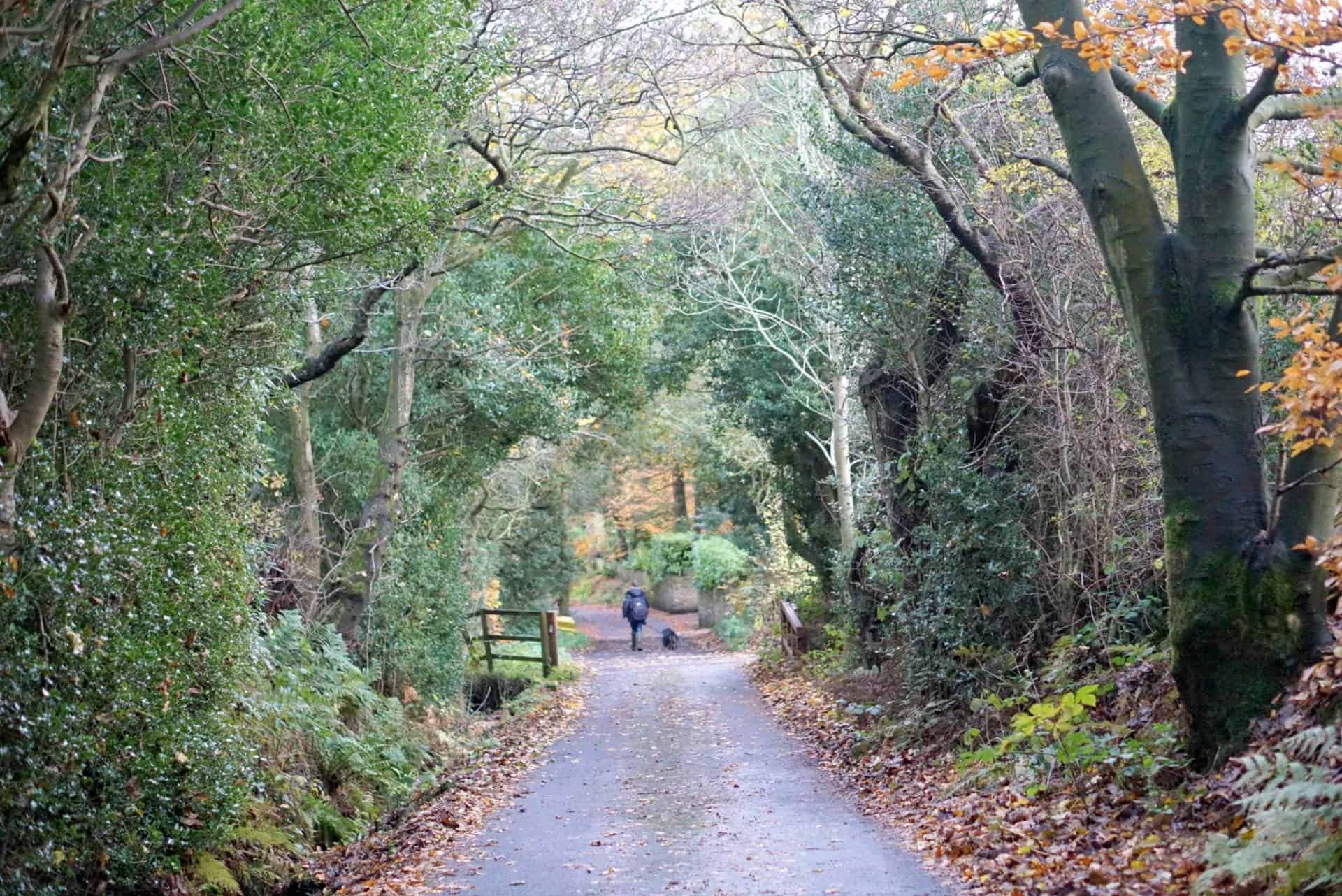 My Sunday Photo A Winters Walk