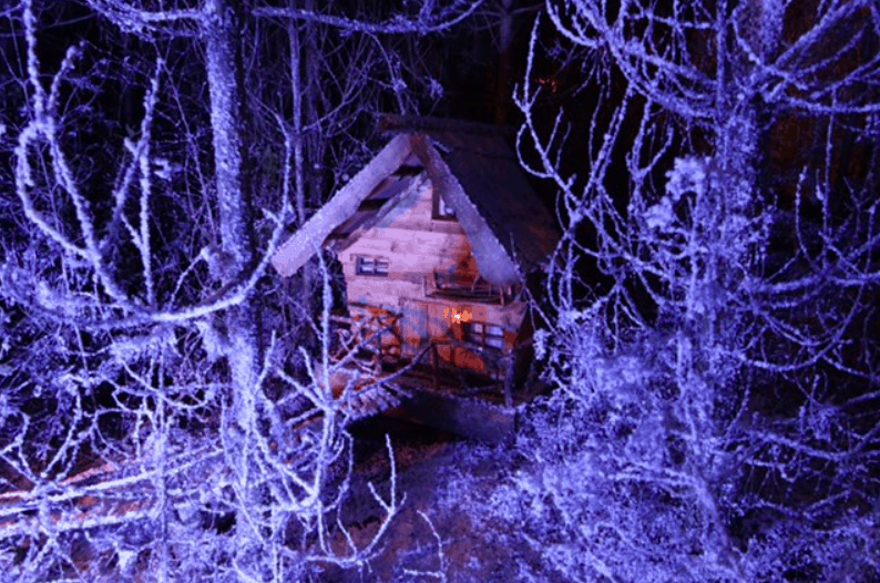 Monday Escapes 11/12/16