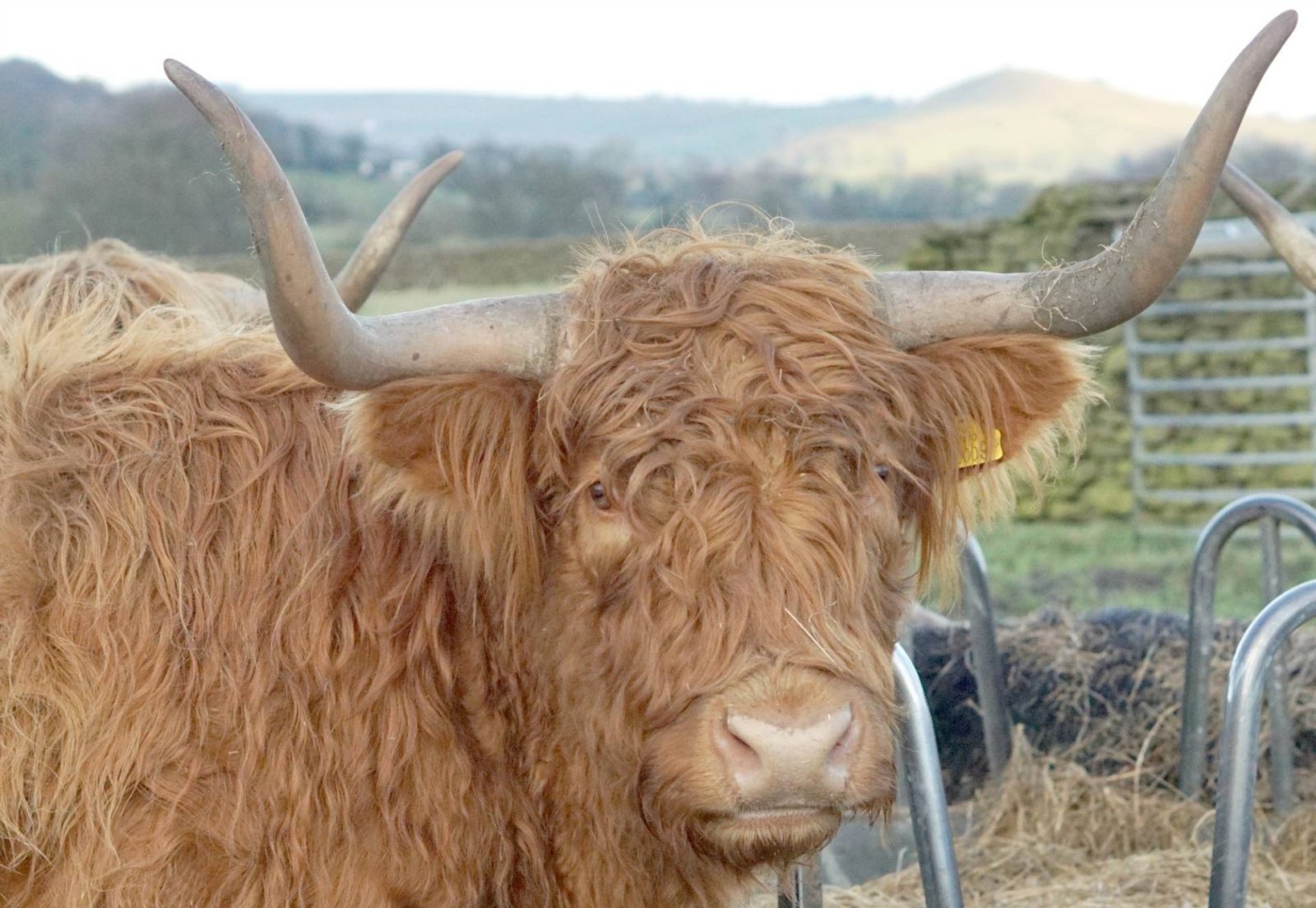 A Country Walk And Embracing The Sunshine