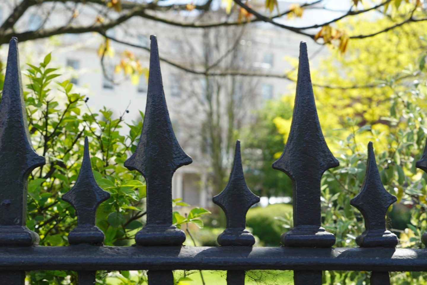 My Sunday Photos And A Little Wander Around London