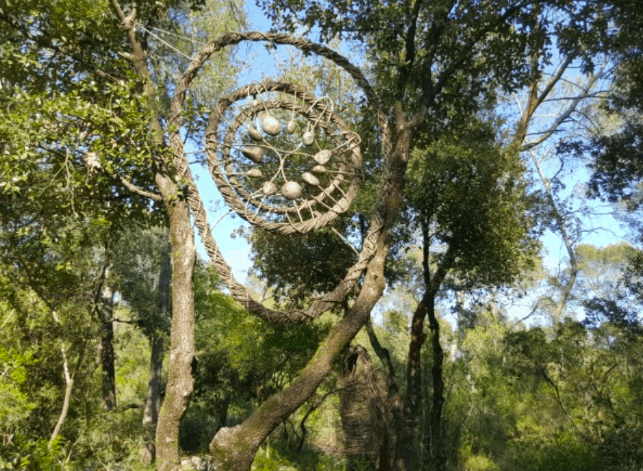 Monday Escapes 8/05/17