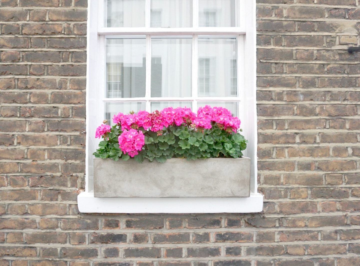 A London Photo Walk And Visions In Pink at Peggy Porschens In Belgravia And Notting Hill www.extraordinarychaos.com