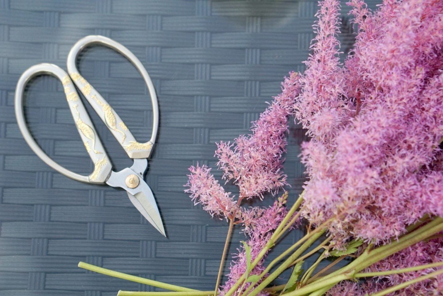 Pretty scissors from Amazon www.extraordinarychaos.com