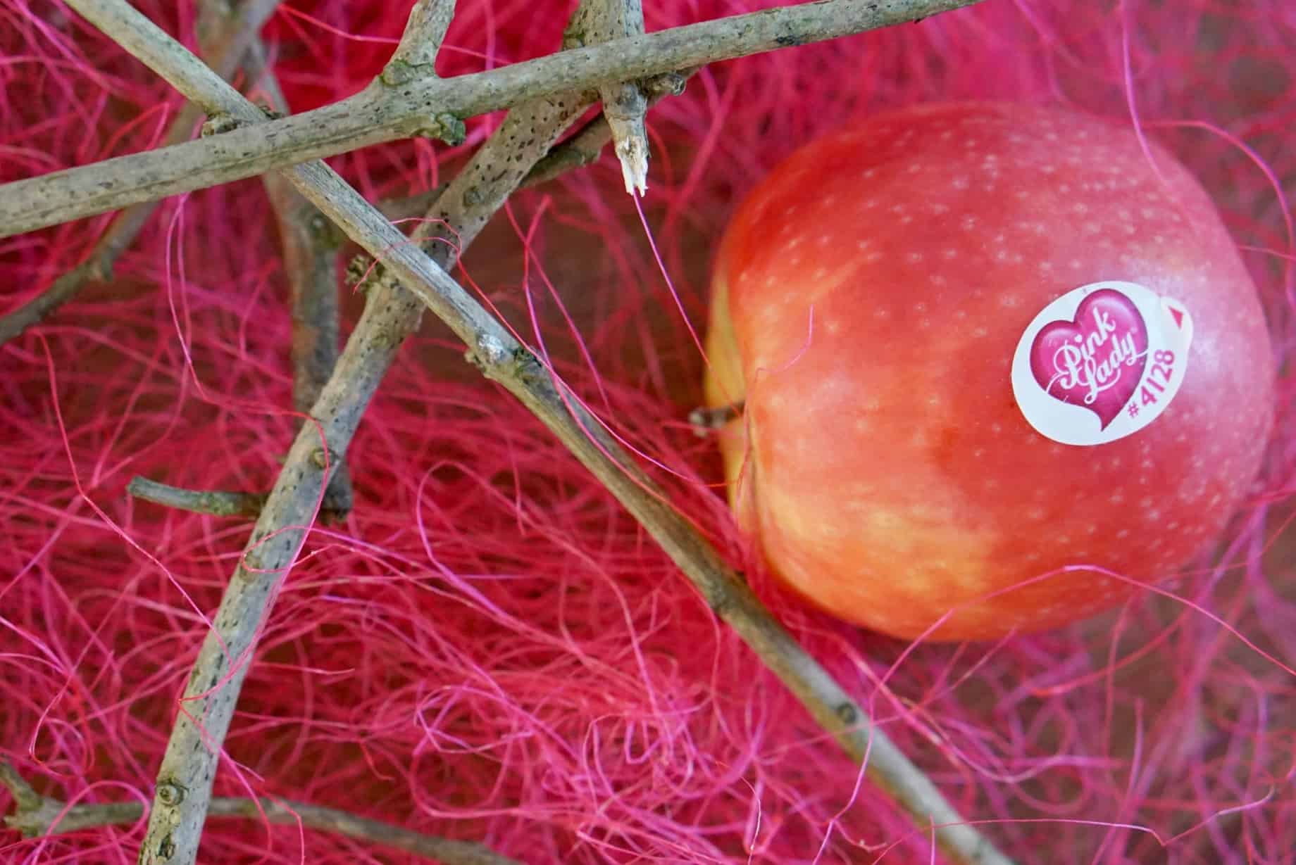 Pink Lady Apples www.extraordinarychaos.com