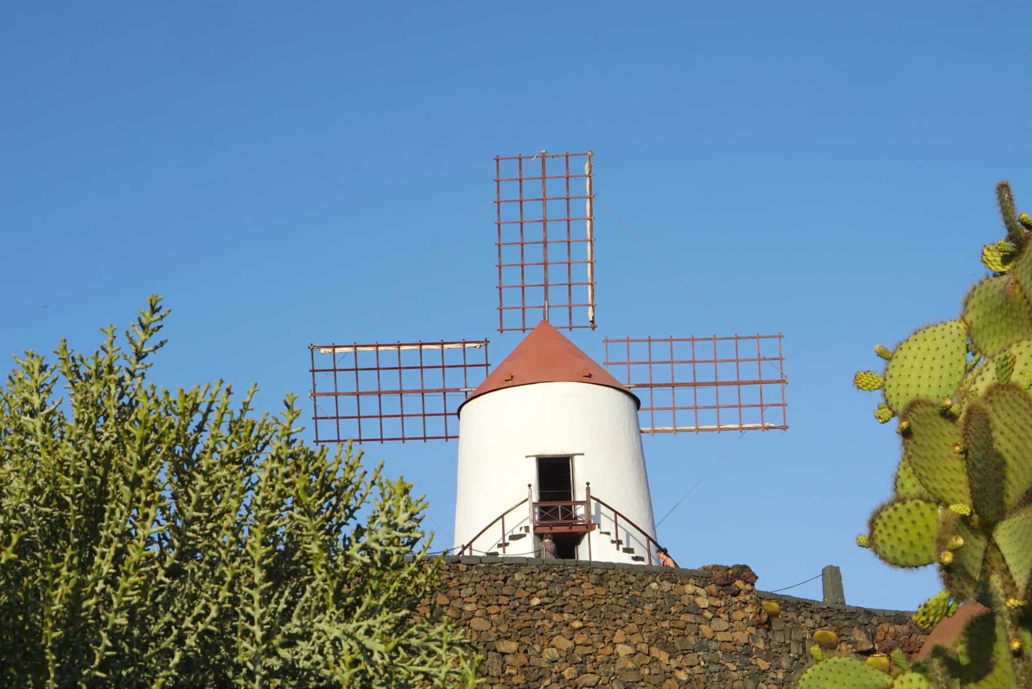 In side the Cactus Garden Lanzarote