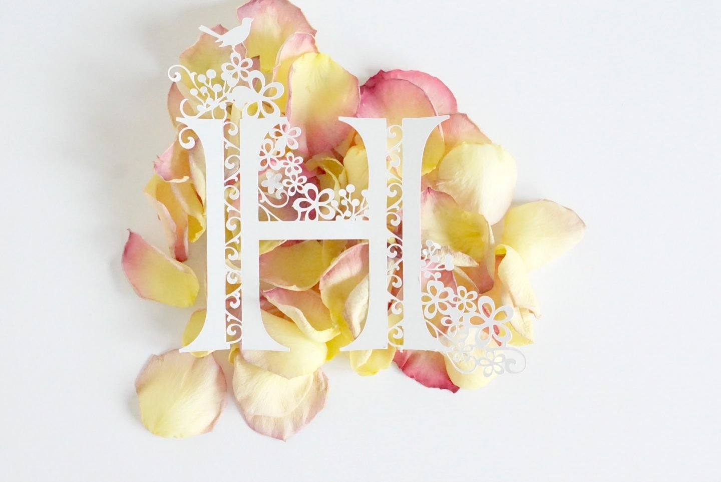 Cricut Maker paper cut tutorial www.extraordinarychaos.com