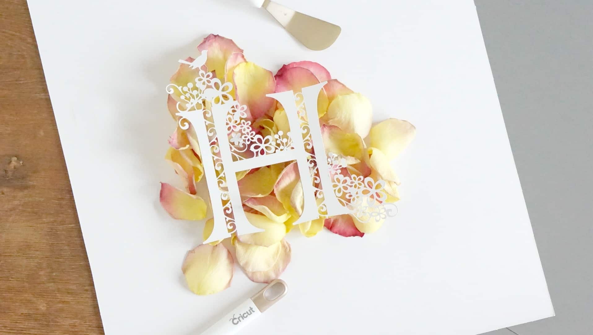Easy Cricut Paper Cut Tutorial www.extraordinarychaos.com