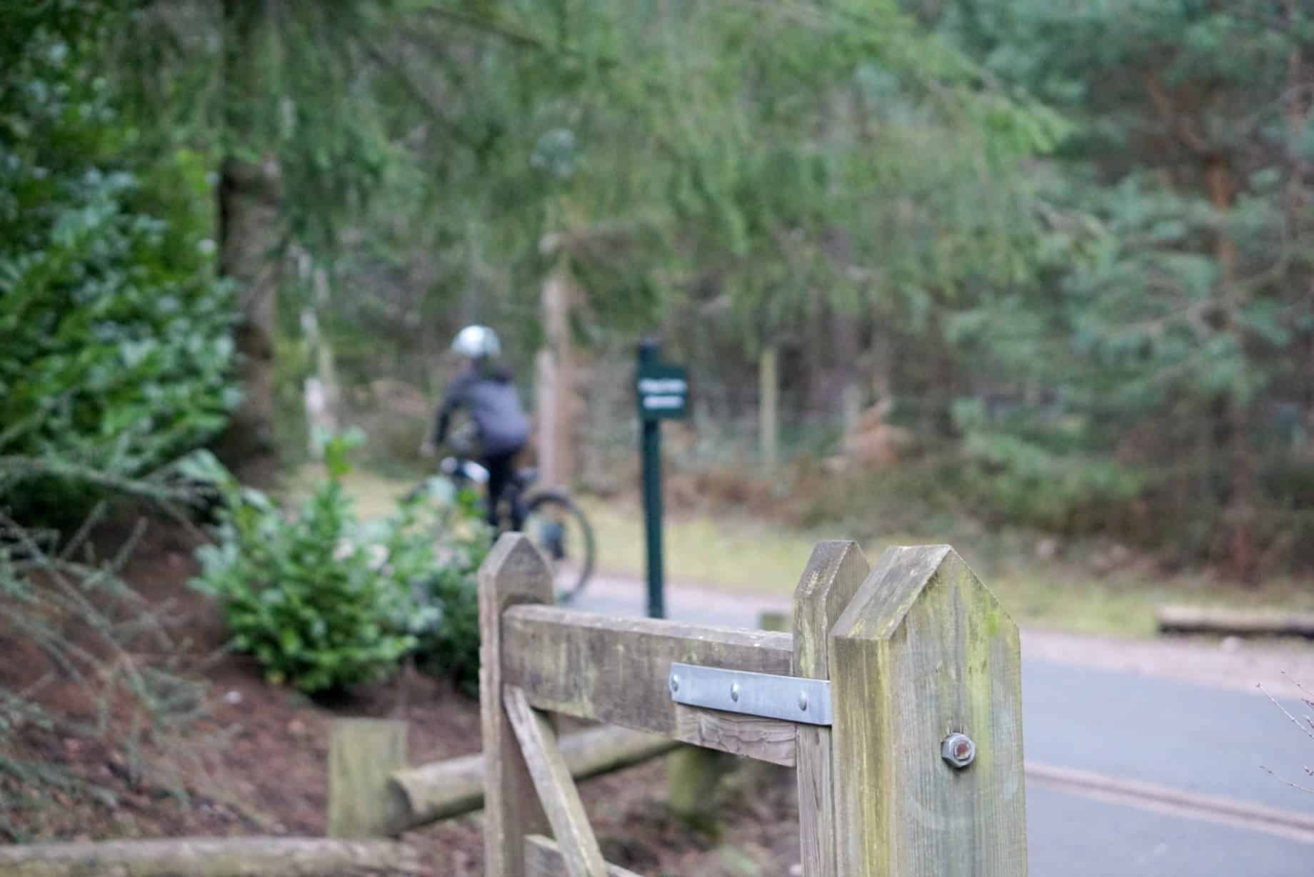 Family Time At Center Parcs www.extraordinarychaos.com
