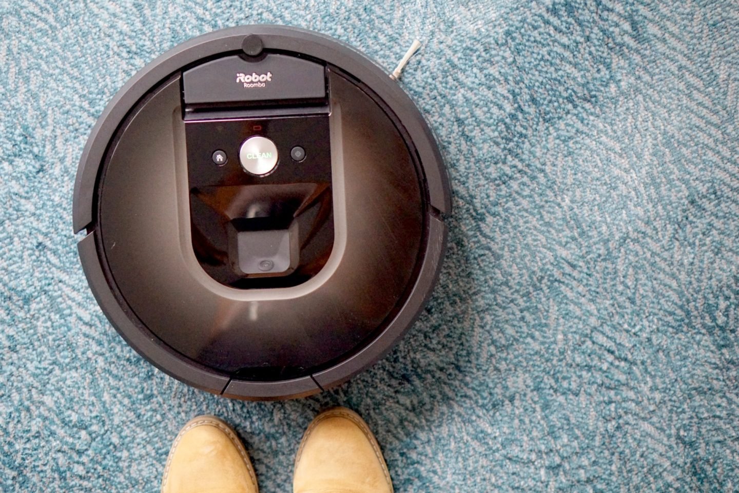 iRobot Roomba 980 Review, (Is it pet friendly?) ⋆ Extraordinary Chaos
