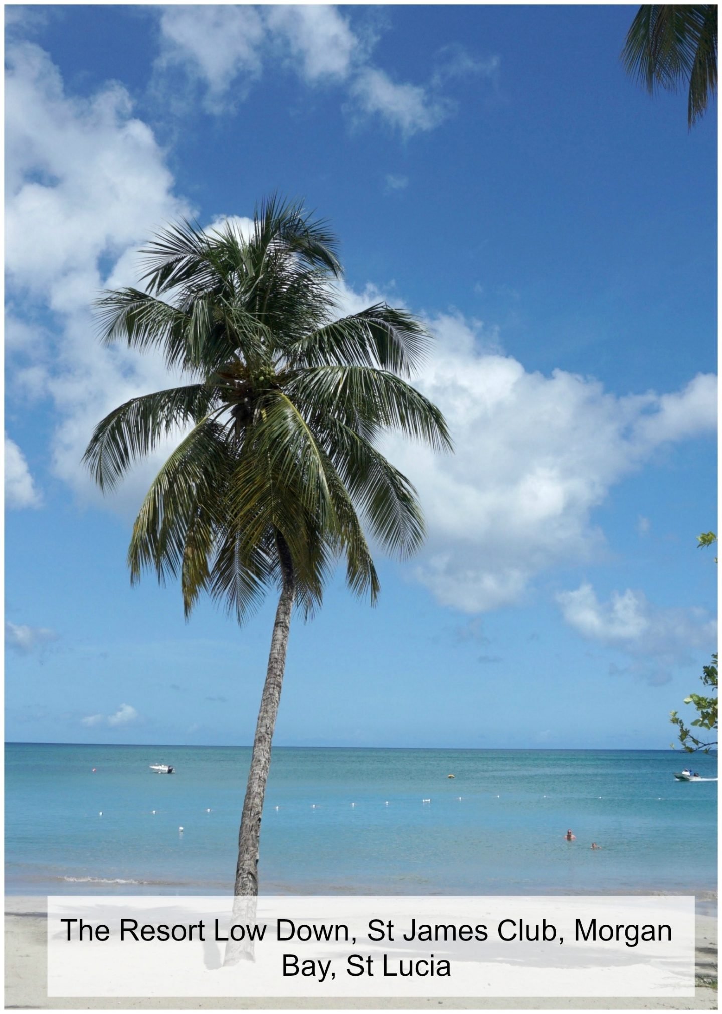 Planning an all inclusive family trip to St Lucia, Check out my ultimate guide of St James Club Morgan Bay and all it has to offer. Plus what is included in the all inclusive package, where to eat and water sports available onsite.