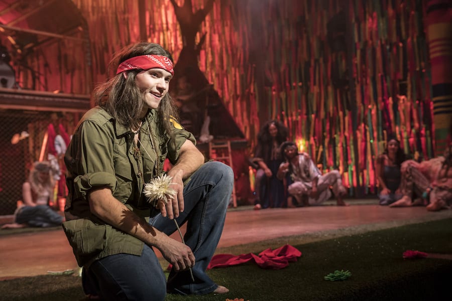 Hair The Musical