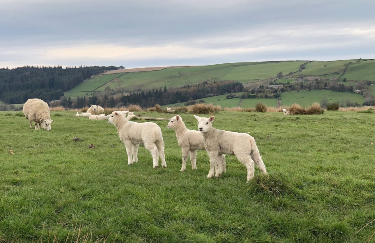 Walks to do in Lancashire
