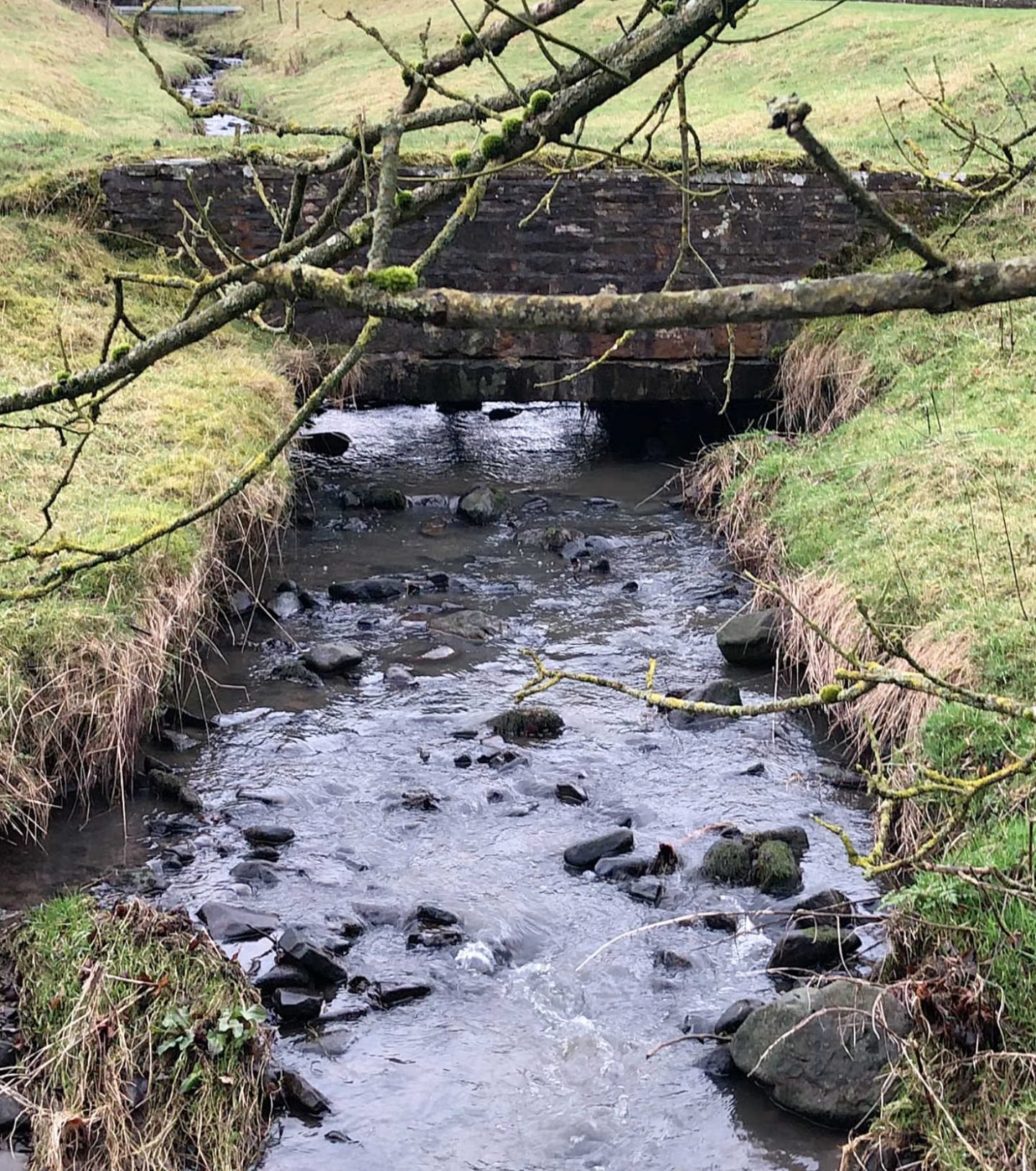 River in the Lancashire Countryside