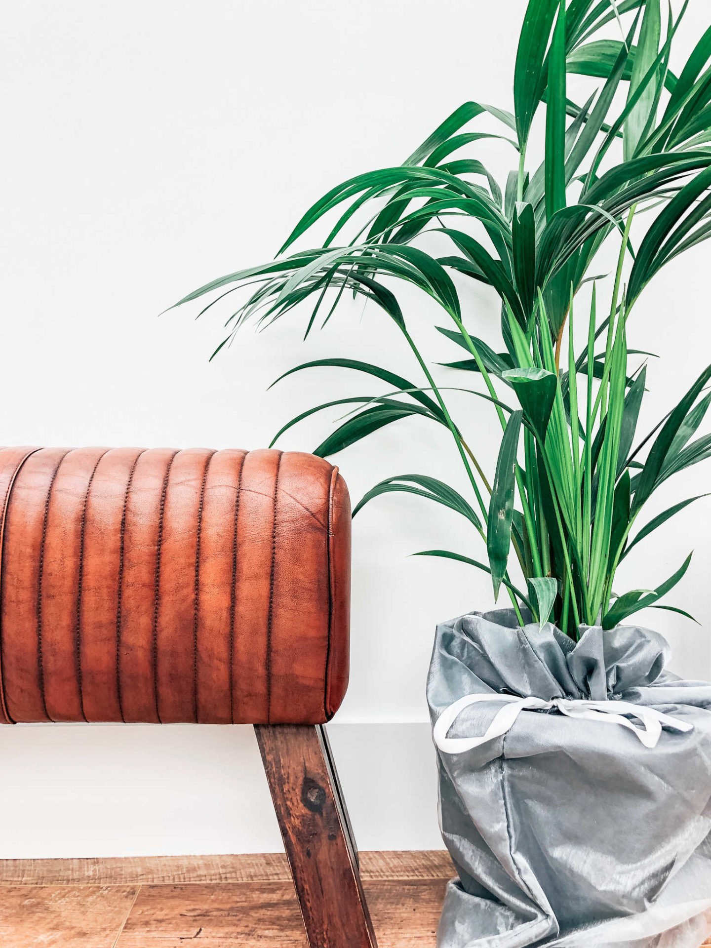 Using plants to accessorise a room