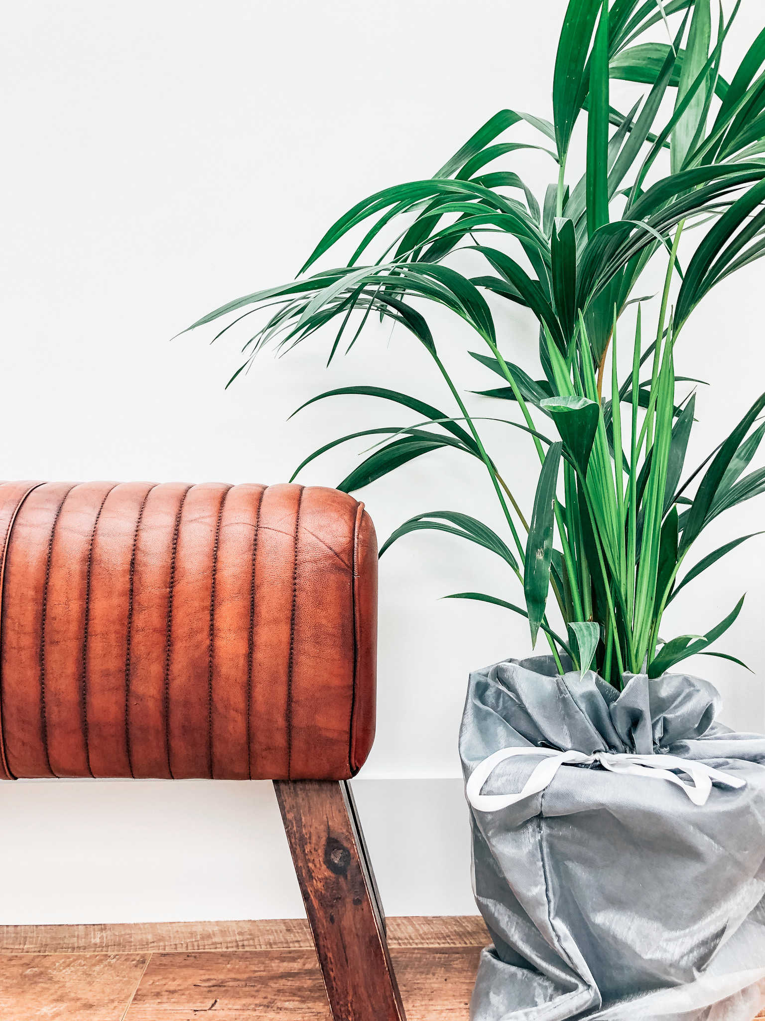 Using plants to accessorise a room