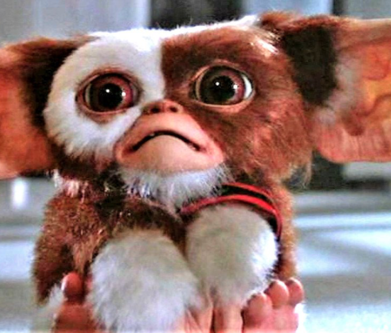 Gremlins (1984) is a great family Halloween Movie