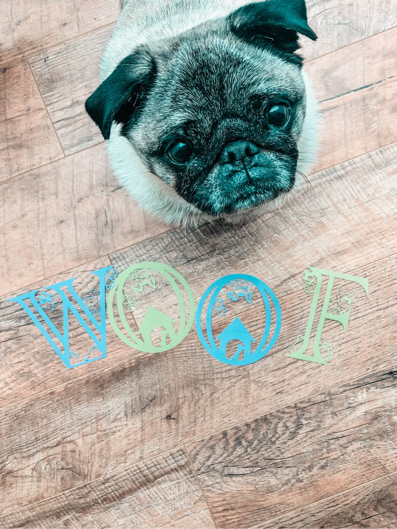 Free Dog Alphabet Set for crafting