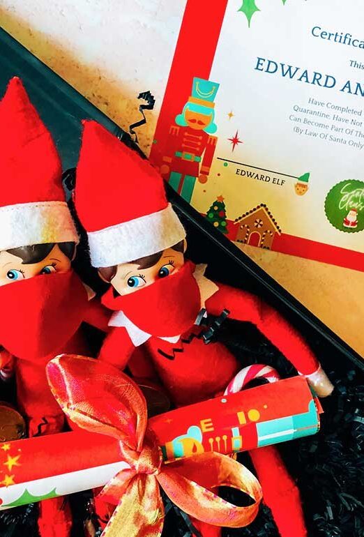 Elf shelf quarantine kit