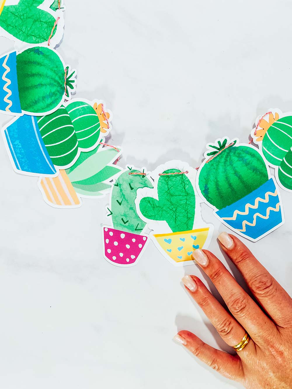 Free printable Succulent PNG Files For Crafting and scrapbooking