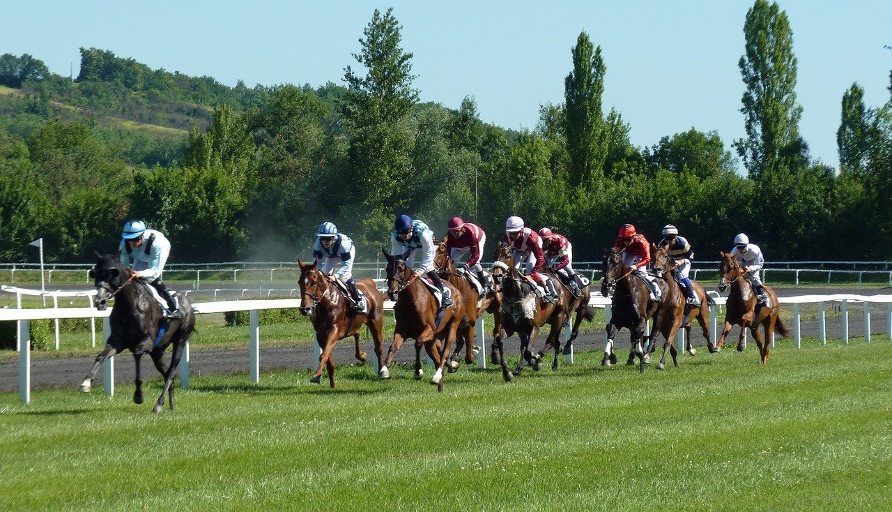 Cheltenham For Horse Racing And Concerts