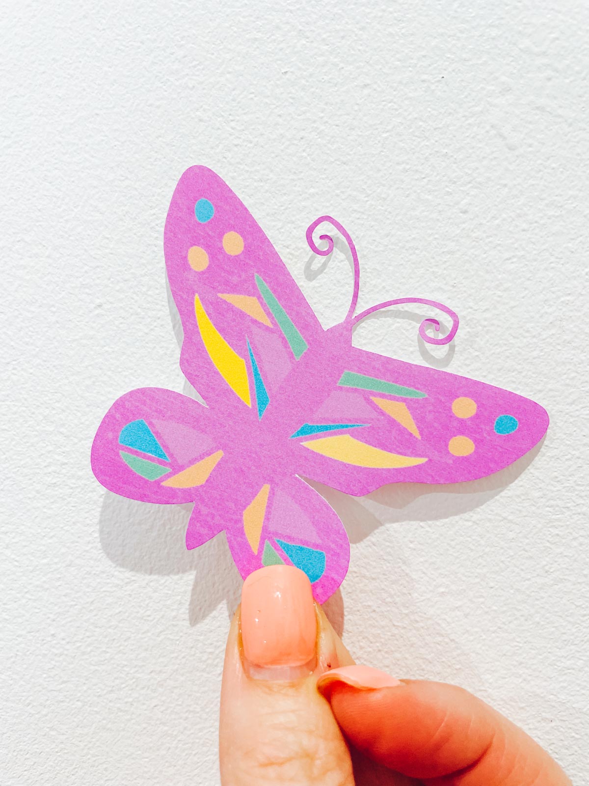 Butterfly By Sarah Christie